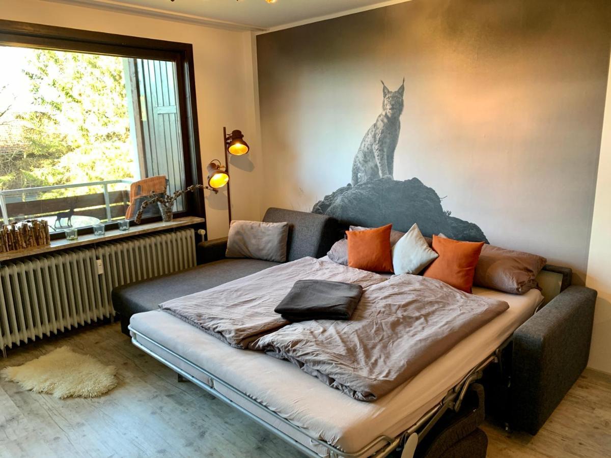 Luchsbutze Daire Sankt Andreasberg Dış mekan fotoğraf