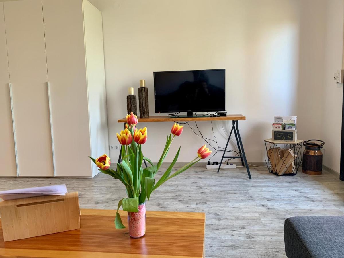 Luchsbutze Daire Sankt Andreasberg Dış mekan fotoğraf