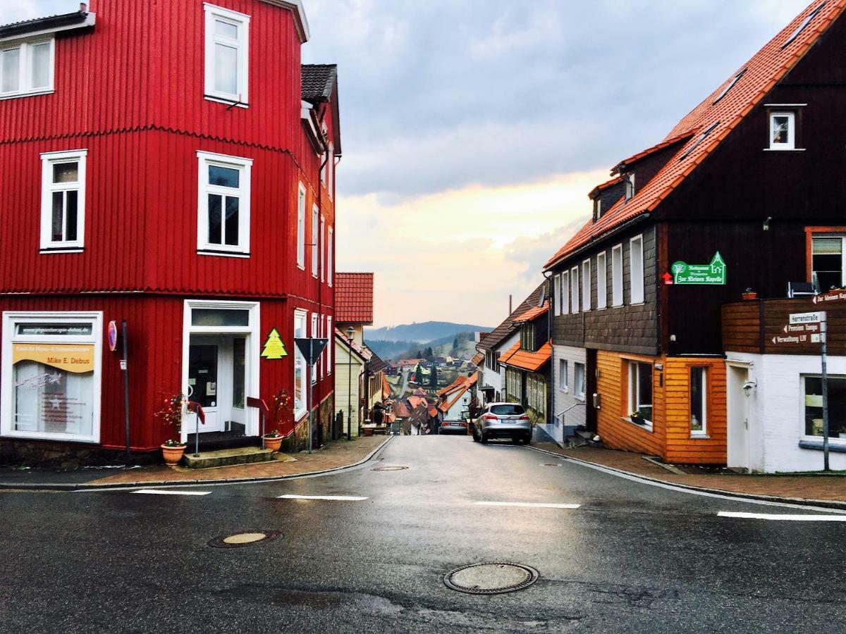 Luchsbutze Daire Sankt Andreasberg Dış mekan fotoğraf
